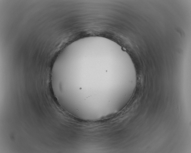 X0000114011012200910161727