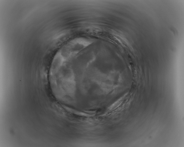 X0000114011013200910161727