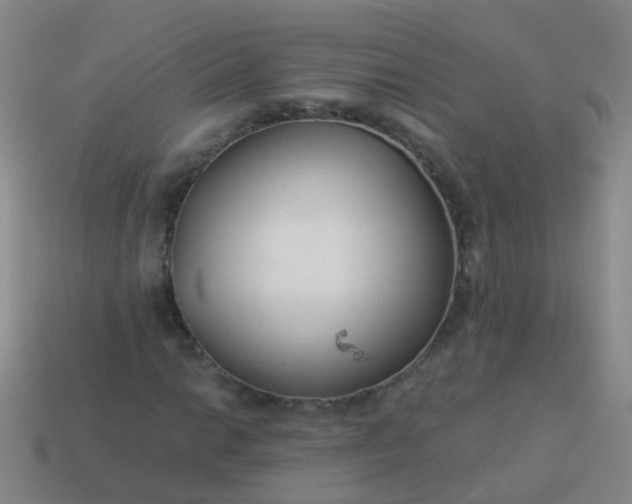 X0000114011014200910161727