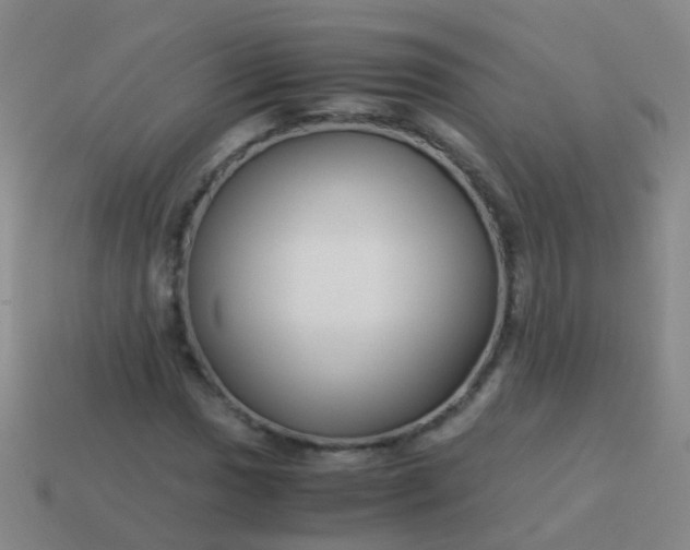 X0000114011017200910161727