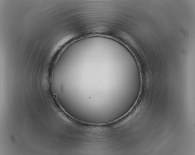 X0000114011018200910161727