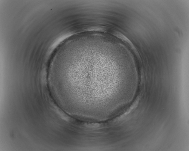 X0000114011019200910161727