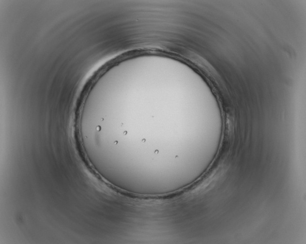 X0000114011020200910161728