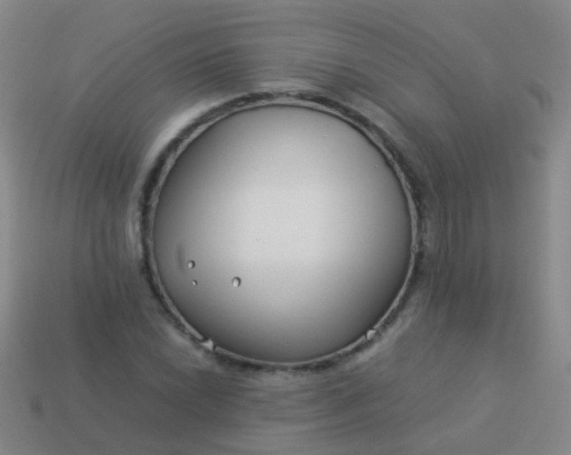 X0000114011022200910161728