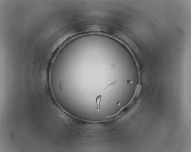 X0000114011023200910161728