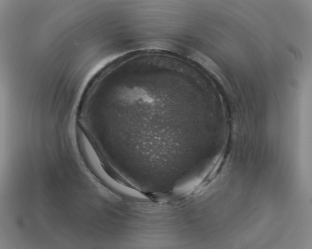 X0000114011024200910161728