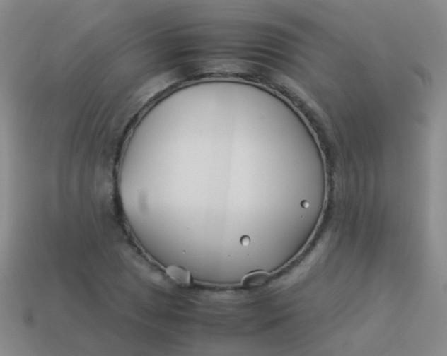 X0000114011025200910161728