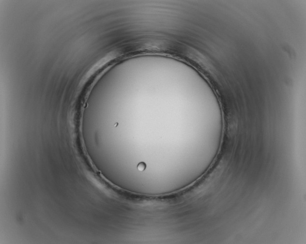 X0000114011026200910161728