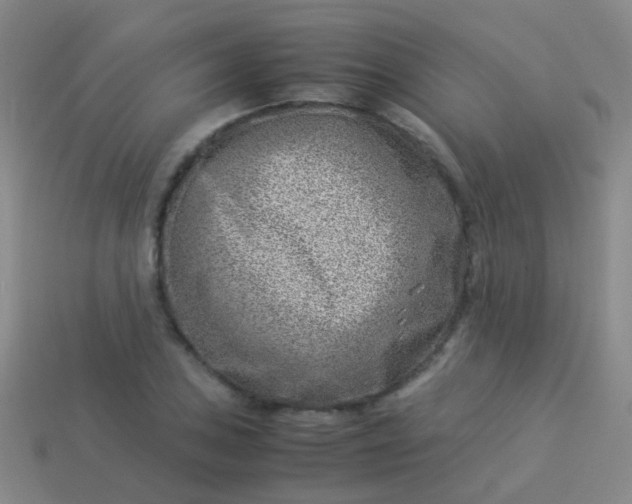 X0000114011027200910161728