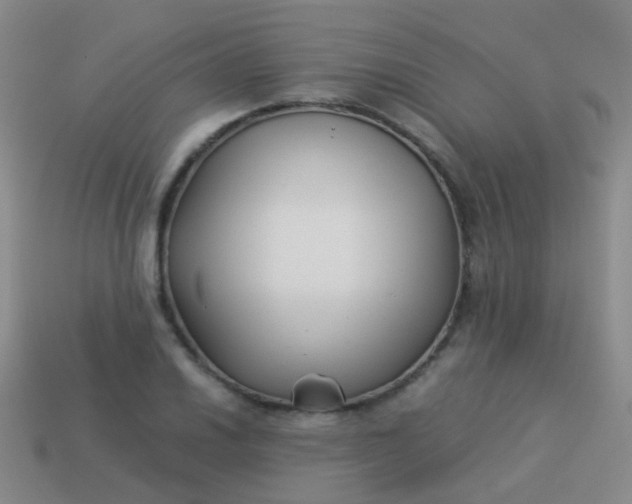 X0000114011030200910161728