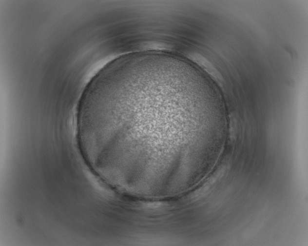 X0000114011031200910161728