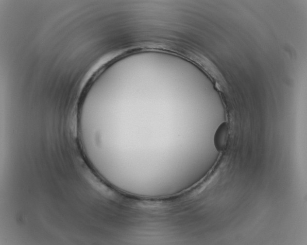 X0000114011036200910161728