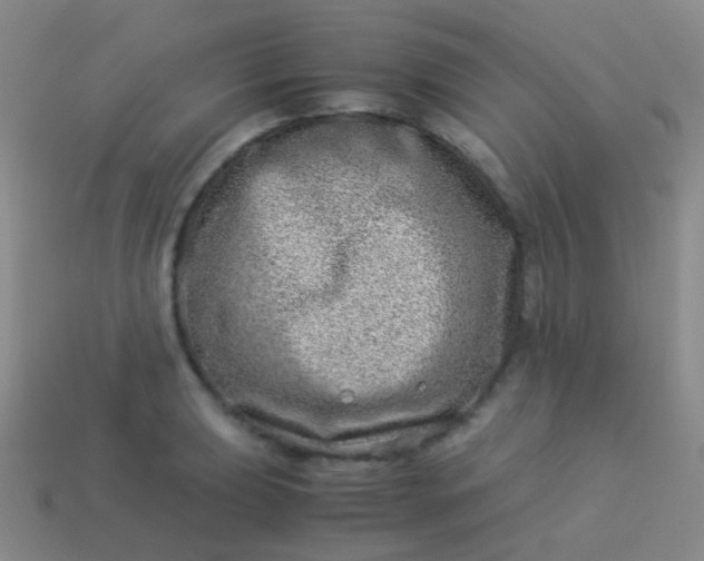 X0000114011039200910161728