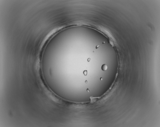 X0000114011040200910161728