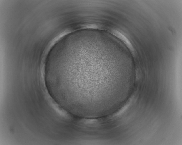 X0000114011043200910161728