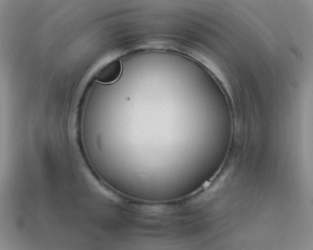 X0000114011045200910161728