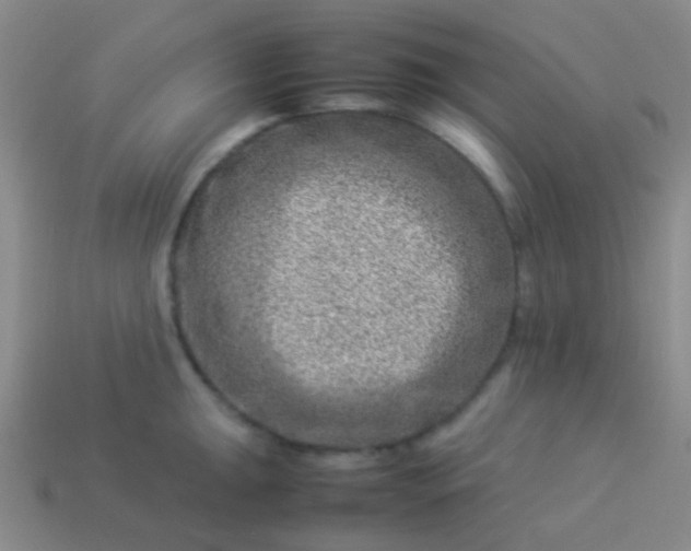 X0000114011047200910161728