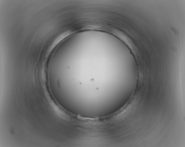 X0000114011050200910161728