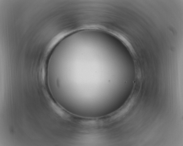 X0000114011054200910161728