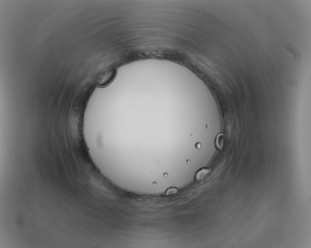 X0000114011060200910161727