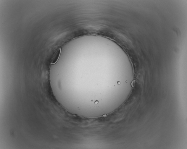 X0000114011061200910161727