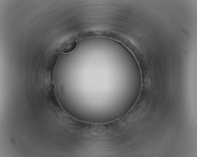 X0000114011062200910161727