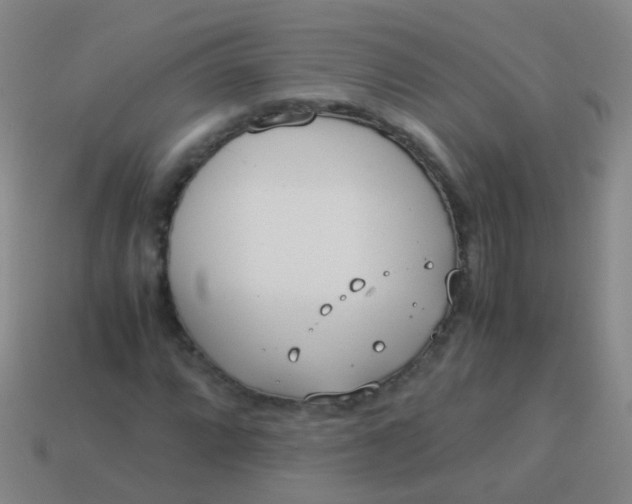 X0000114011064200910161727