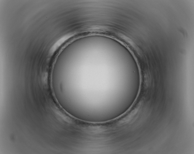 X0000114011066200910161727