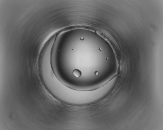 X0000114011068200910161727