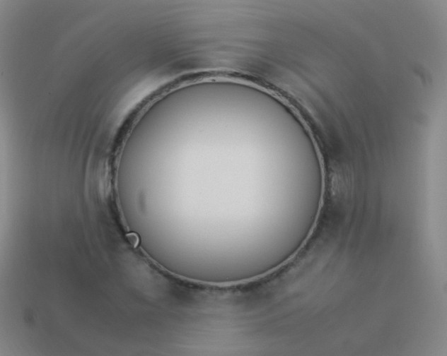 X0000114011069200910161727