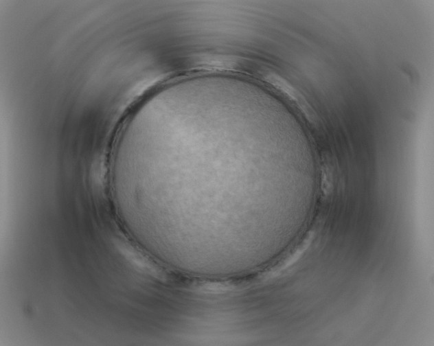 X0000114011074200910161727