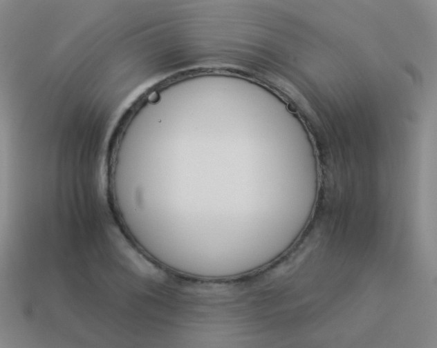 X0000114011076200910161727