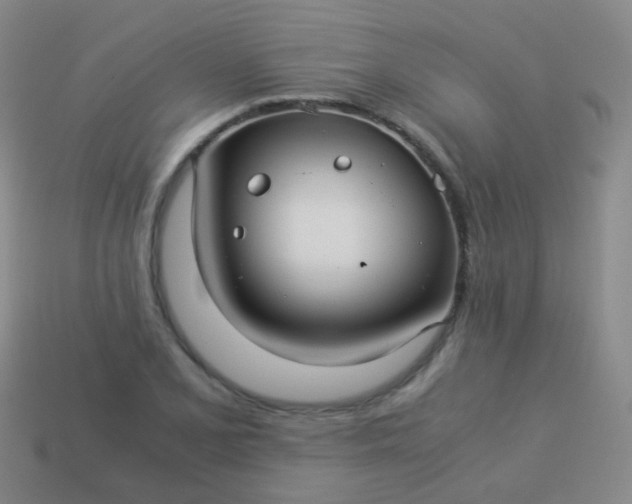 X0000114011077200910161727