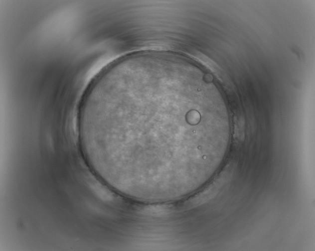 X0000114011078200910161727