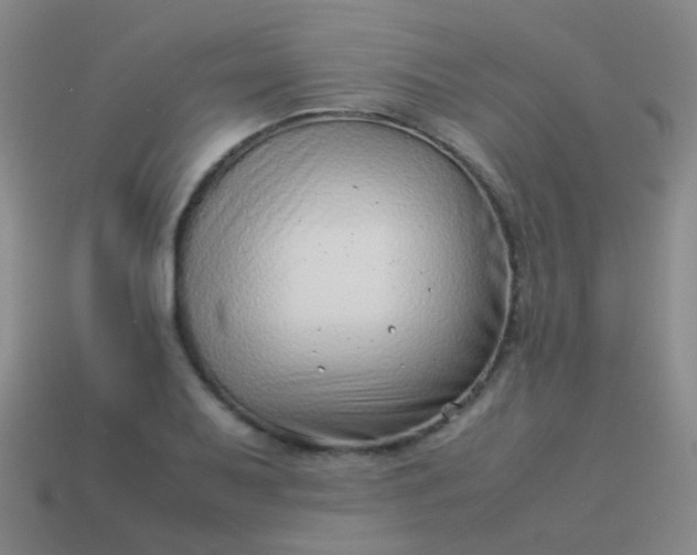 X0000114011079200910161727