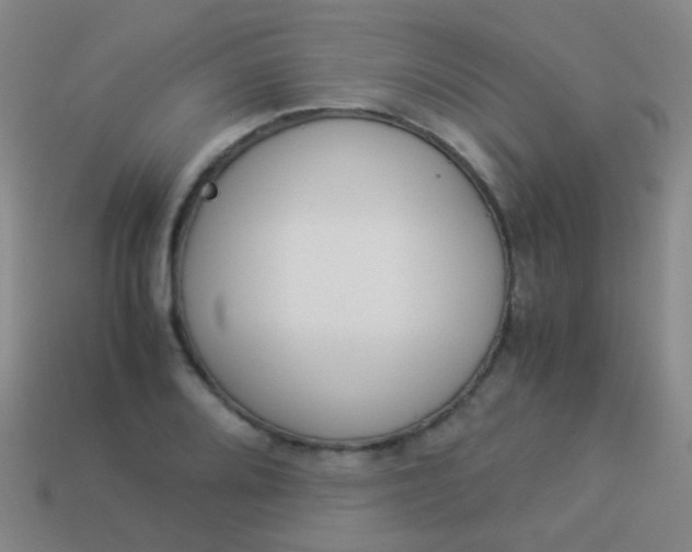 X0000114011080200910161727