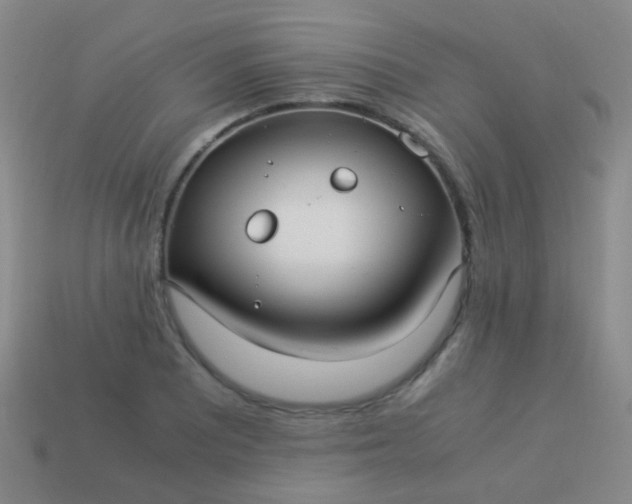 X0000114011081200910161727