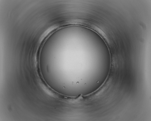 X0000114011082200910161727