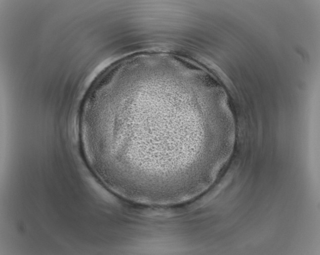 X0000114011083200910161727