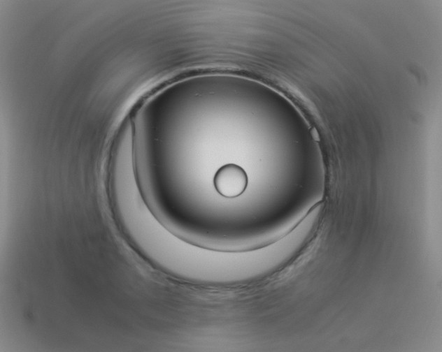 X0000114011085200910161727