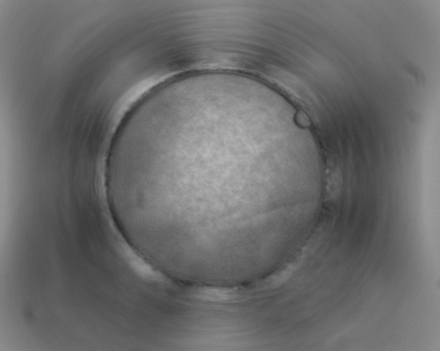 X0000114011086200910161727