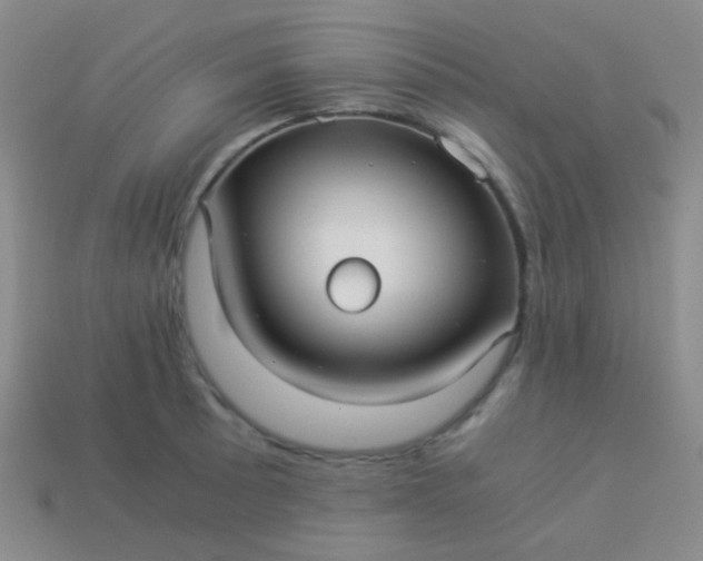 X0000114011089200910161727