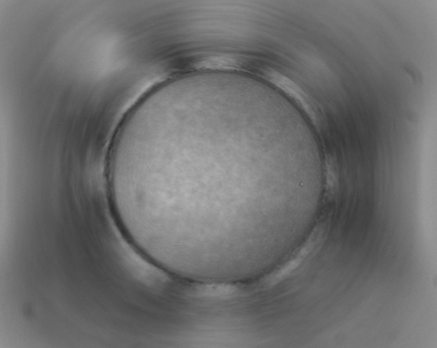 X0000114011090200910161727