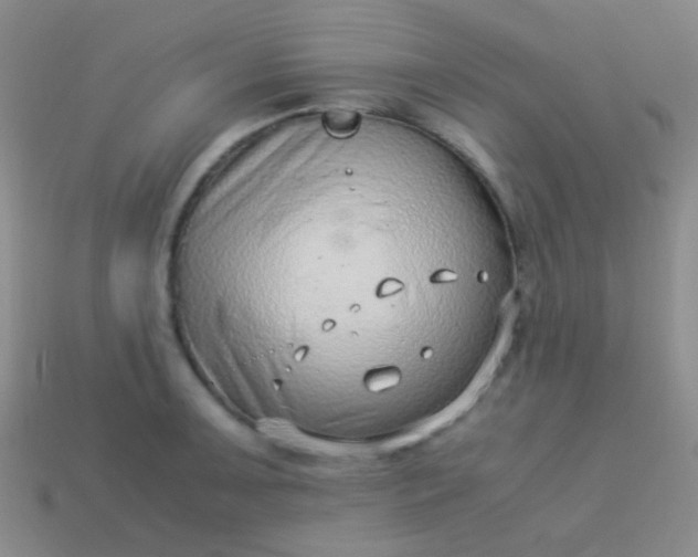 X0000114011091200910161727