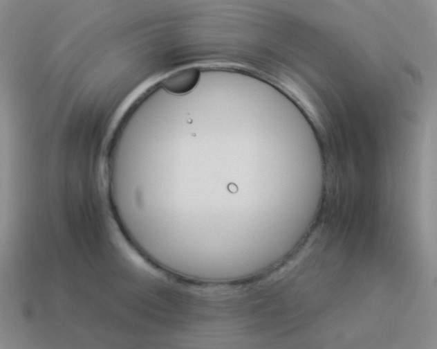 X0000114011092200910161727