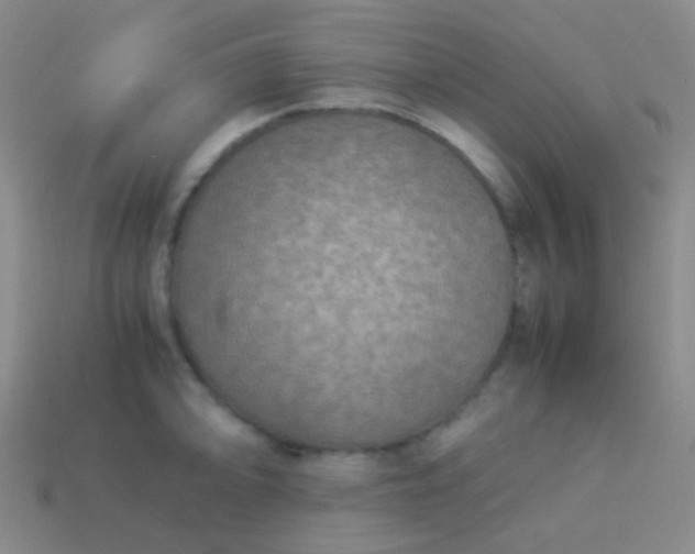 X0000114011094200910161727