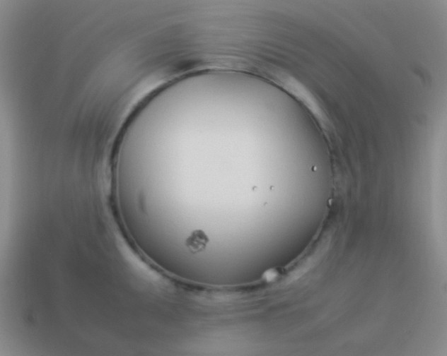 X0000114011095200910161727