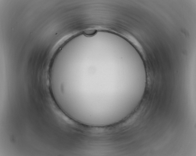 X0000114011096200910161727