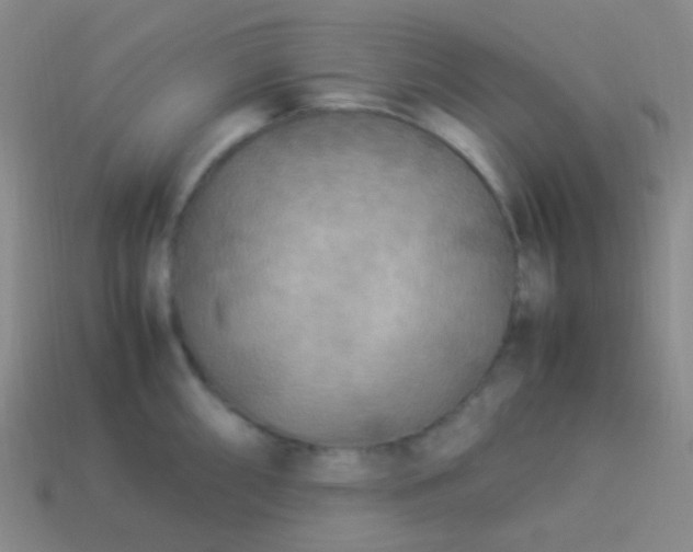 X0000114011098200910161727