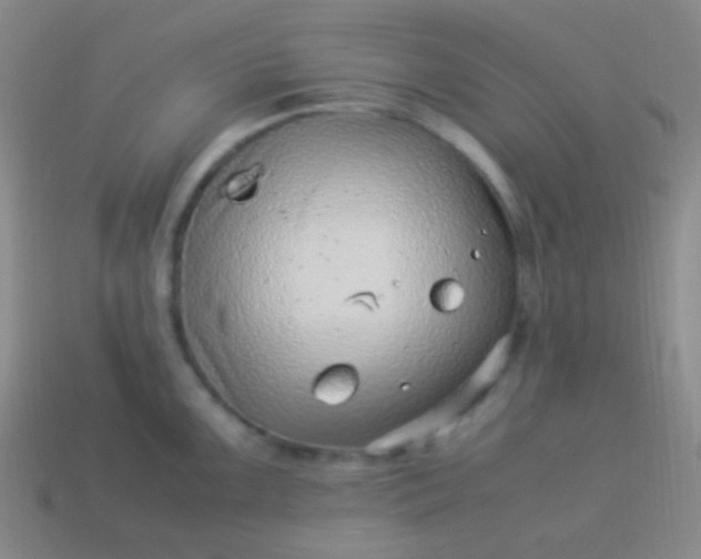 X0000114011099200910161727